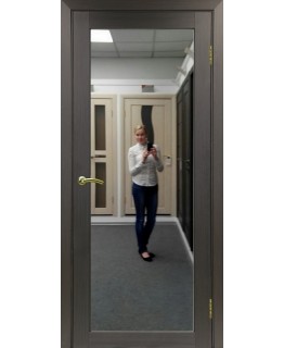 Дверь Оптим ЭКО 501.1 венге, зеркало с 2 сторон